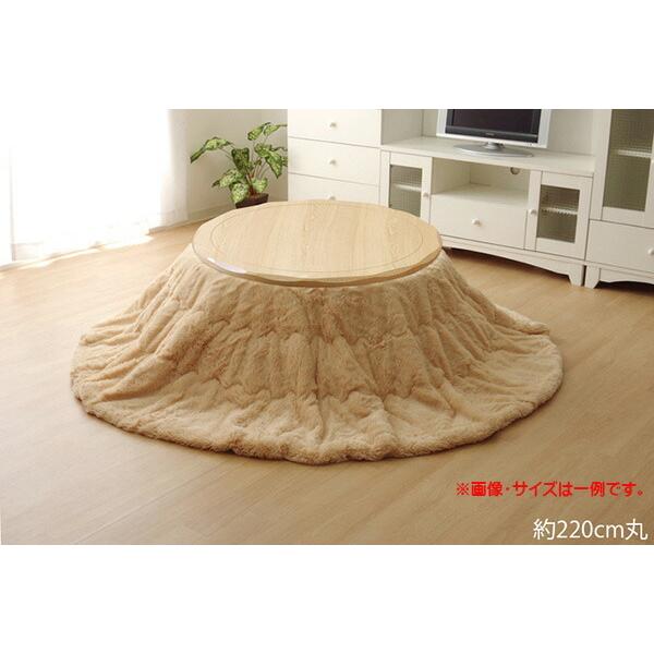 tBgf |zcPi tBbv~` a220cm |zc |zc ӂƂ R^czc R^c R^czc |zc a