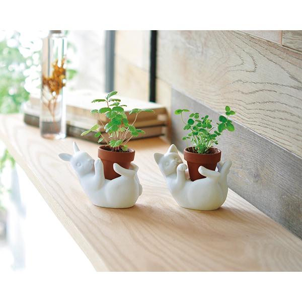 ポットフレンド 栽培キット ネコ クローバー 24点 Automationghana Com