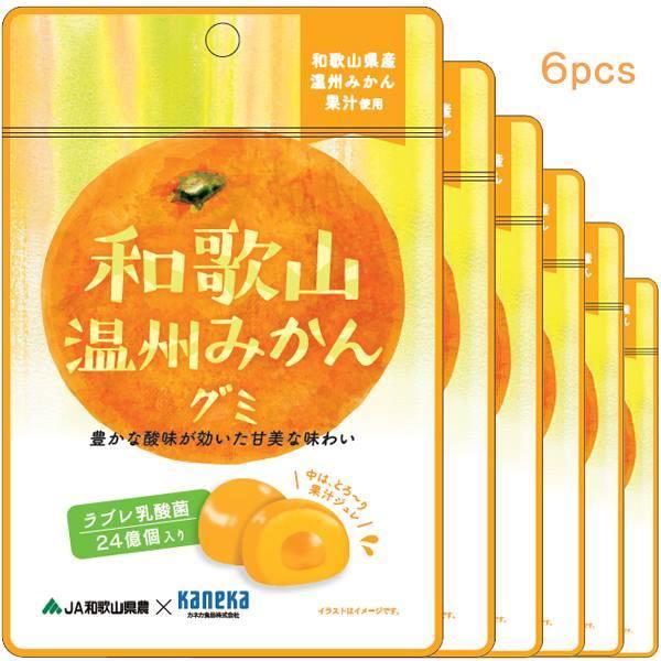 6袋セット販売 グミ 乳酸菌入り 和歌山温州みかんグミ カネカ食品