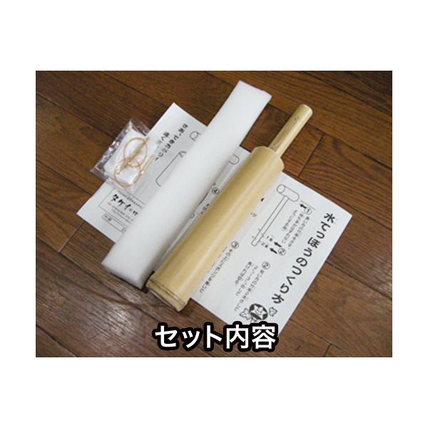 |̐SC HLbg Xg[g Y { ꌧY   qǂ ċx݂̏h Cxg v[ C C V