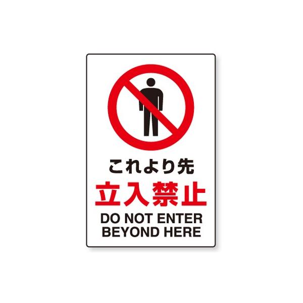 y-tomoemon_802-041-1