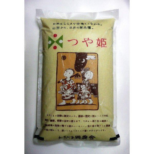 おきたまのつや姫 特別栽培米 農薬8割減・化学肥料不使用 白米4.5kg