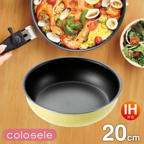 RZ tCp(Pi) 20cm CSF-20 IHΉ [KX΂OK]  肪tCp RpNg[ ʂӂfH