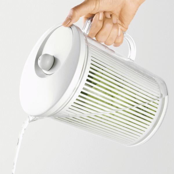 ؂ U 蓮 ؐ؂ R-0301 Xsi[ ooT_  Lb`c[ RpNg {