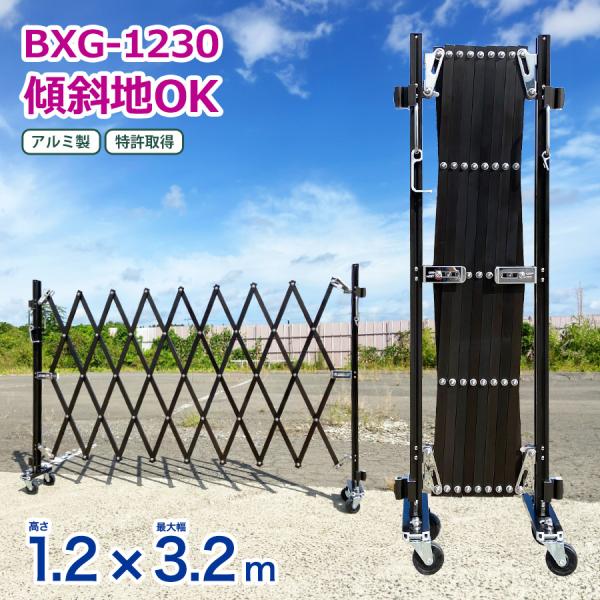 ya-picacolle_11-bxg1230n ya-picacolle_11-bxg1230n