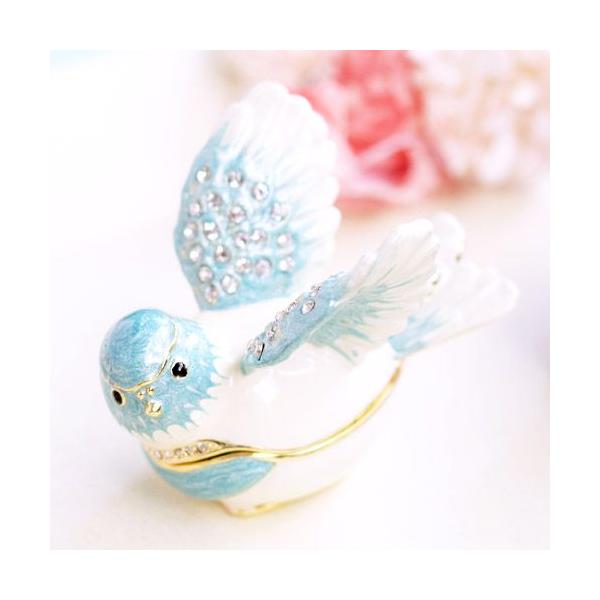 WG[{bNX ANZT[P[X K̒  ANZT[[ PICALS sJX u   CeA   sBA[X