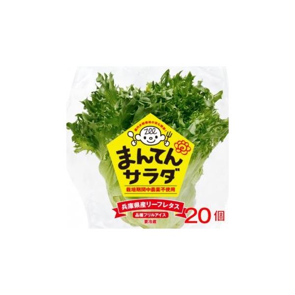 栽培期間中、農薬不使用！クリーンな屋内水耕栽培のリーフレタス「フリルアイス」です。新鮮でパリパリ!シャキシャキ!のフリルアイス。屋内水耕栽培で衛生管理を行っているため長持ちします。えぐみがすくないため、野菜嫌いの方も是非お試しください♪美味...