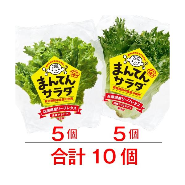 栽培期間中、農薬不使用!クリーンな屋内水耕栽培のリーフレタス「バタビア」と「フリルアイス」の詰め合わせです。新鮮でシャキシャキ!!サラダの定番。バタビア。新鮮でパリパリ!!のフリルアイス。屋内水耕栽培で衛生管理を行っているため長持ちします。...