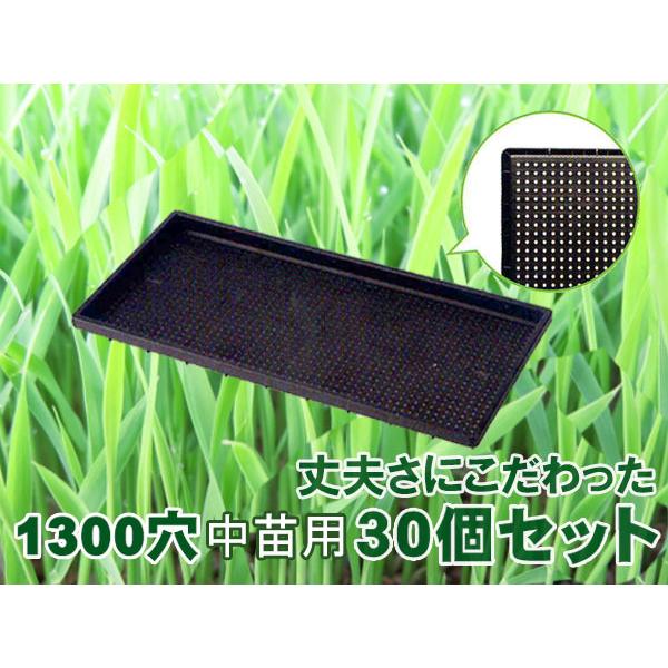 育苗 トレー トレイ 中苗用 育苗箱 水稲 1300穴 60×30×3cm 30個