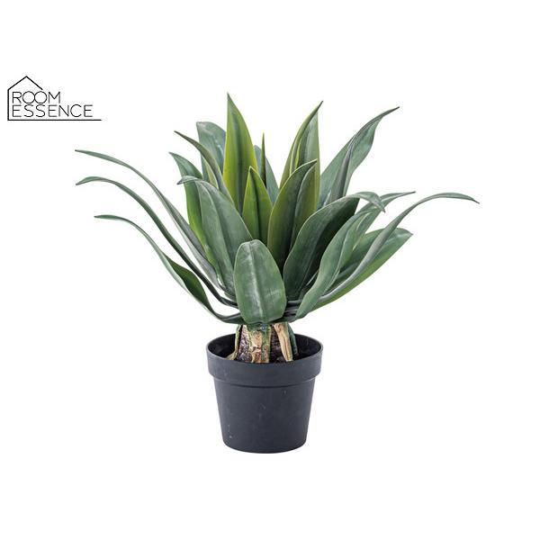 J tFCNO[ AKx GRN-14  lHϗt ϗtA CeA  [t ܂ [J[ 