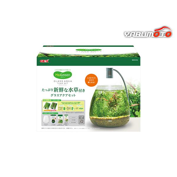 水草育成用品 一式 GEX（ジェックス） Megreen 新鮮な水草付き グラスアクア ティア