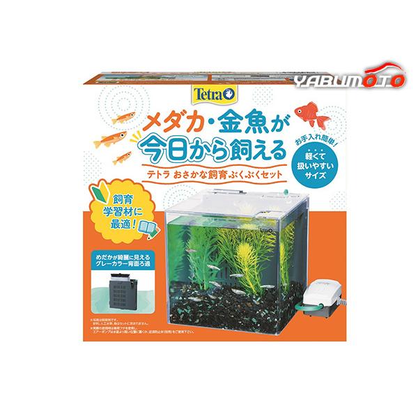 スペクトラム ブランズ ジャパン テトラ おさかな飼育 ぶくぶくセット