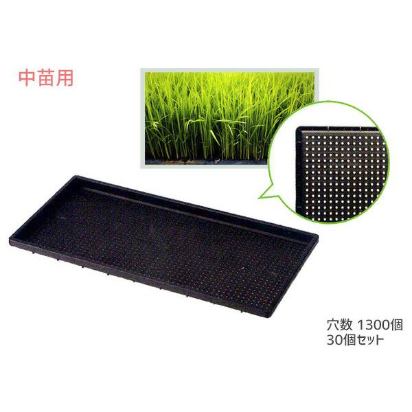 中苗用 育苗箱 水稲用 1300穴 60×30×3cm 30個セット 黒 ブラック