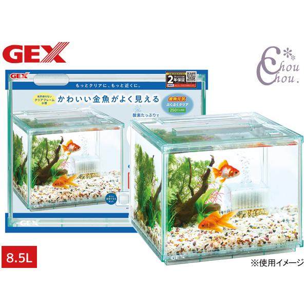 金魚元気 GEX ぶくぶくクリア 250CUBE 約 幅25×奥行25×高さ20cm 上から