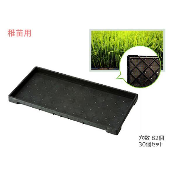稚苗用 育苗箱 水稲用 82穴 60×30×3.7cm 30個セット 黒 ブラック