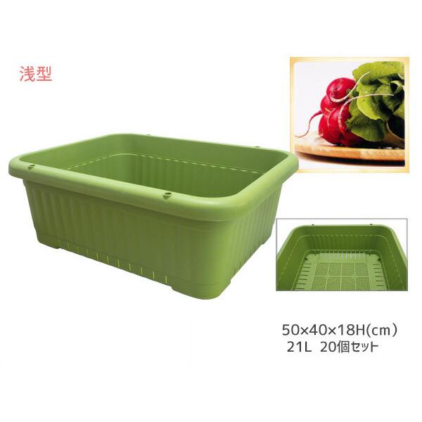 野菜 aya 野菜 プランター 葉もの野菜 21L 500浅型 20個セット 50×40×18H(cm