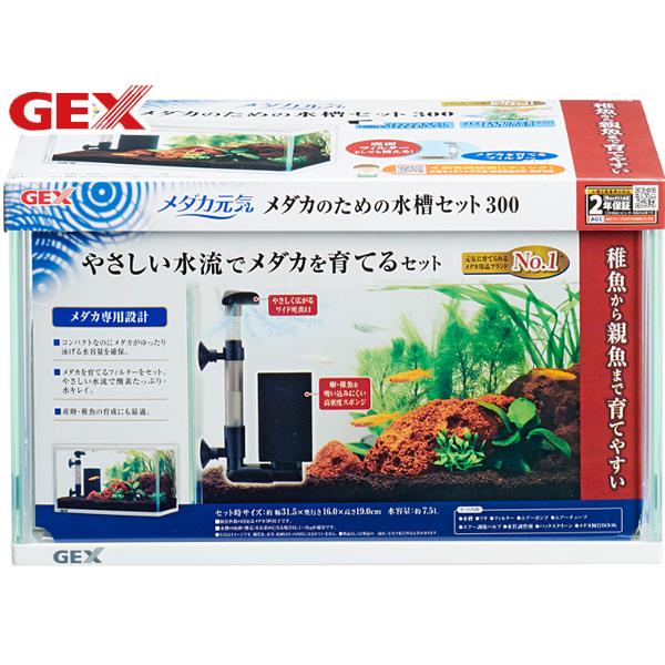 GEX（ジェックス） メダカ元気 メダカのための水槽セット300 熱帯魚