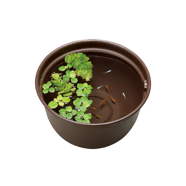 メダカ元気メダカのための飼育鉢こげ茶320メダカを美しく飼育・観賞できる・メダカを美しく飼育・観賞できる飼育鉢です。・屋外でメダカ飼育をサポートする専用設計・急な雨などの増水時でも安心。2つの水抜け穴付き【材質/素材】PP【原産国または製造...