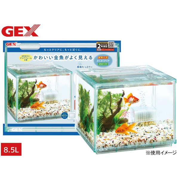 金魚元気 GEX ぶくぶくクリア 250CUBE 約 幅25×奥行25×高さ20cm 上から