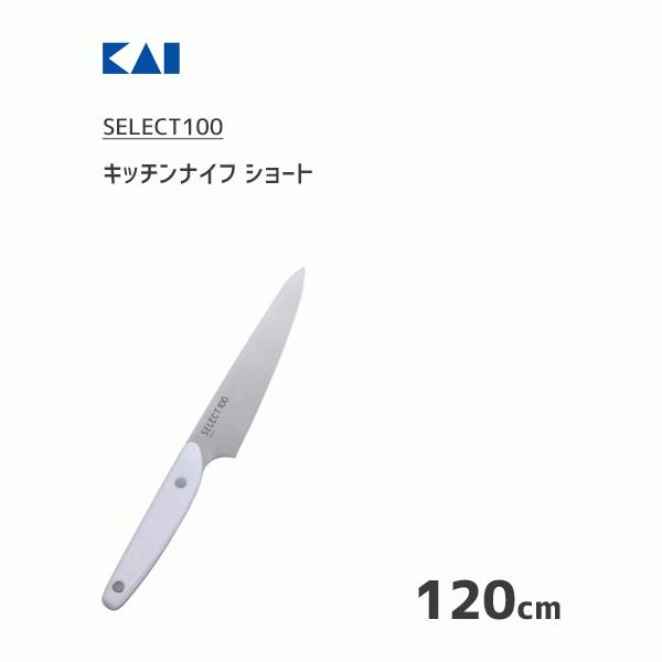 Lb`iCt V[g 120mm L SELECT100 AB5062 /  iCt XeX RpNgTCY  HΉ lH嗝 ֗ /