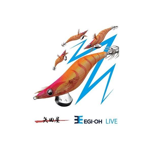 ヤマシタ エギ王 LIVE 3号 : 矢田屋ヤフー店 - 通販 - Yahoo!ショッピング
