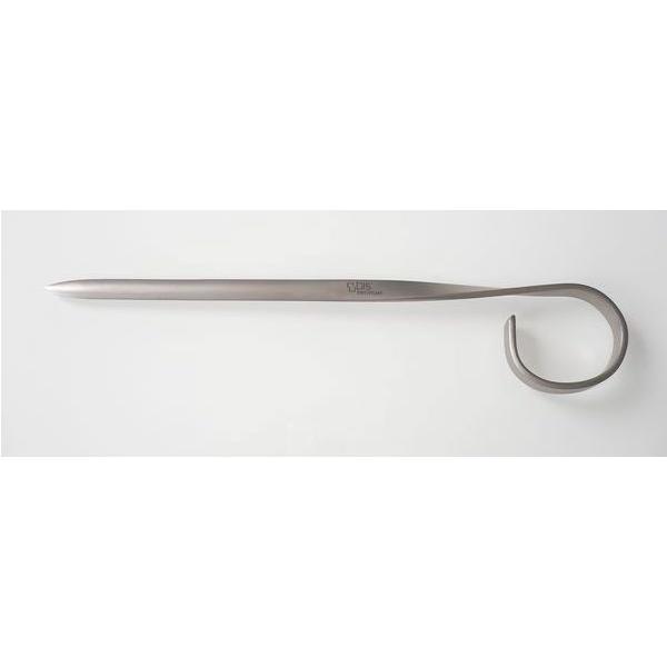 rX 1C100 Xe ^[I[vi[ 200mm@RUBIS