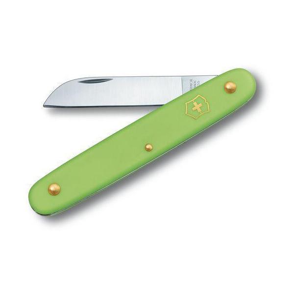 rNgmbNXVICTORINOXt[XgiCt@Xg[g@AbvO[@3.9050.47B1