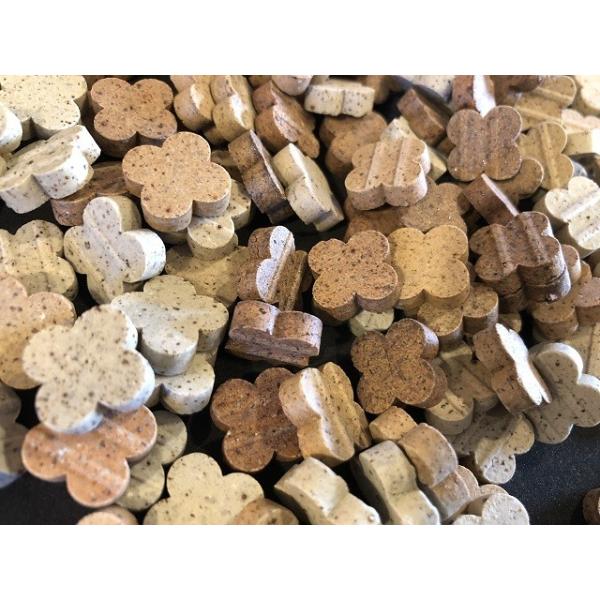 ZăUCN^C i`  t[o 3F 200gܓ