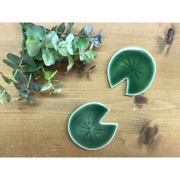 蓮の葉 yafoo-sazendo_lotus