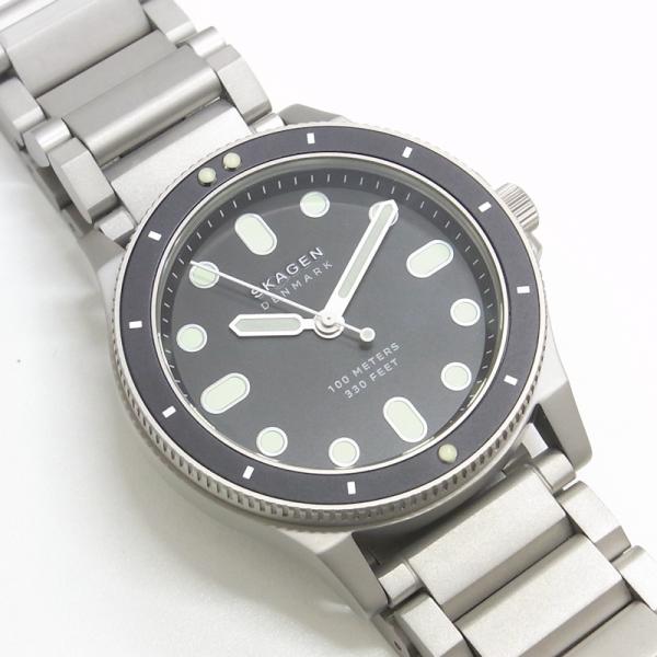 SKAGEN/スカーゲン ダイバーズウォッチ FISK SKW6666 SKAGEN スカーゲン FISK フィスク SKW6666 メンズ クオーツ