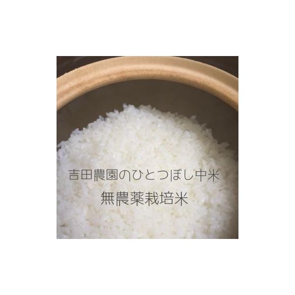 EM菌によるＥＭ農法無農薬栽培米5kg袋入り箱詰めでお届け近江米　生産地(滋賀県長浜市虎姫町)吉田農園から直送玄米重５kg　精米後ぬか分目減りのため白米重は4.5kg前後【その分精米費用無料】