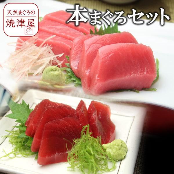 送料無料  天然 本まぐろセット赤身・中トロ 各約200ｇ（合計約400ｇ）春 新生活 母の日 ギフト プレゼント 手巻き寿司 海鮮丼