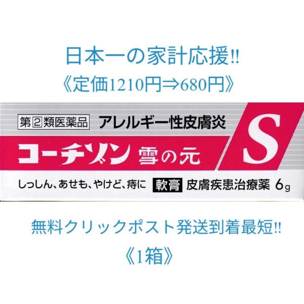コーチゾン雪の元Ｓ 6g（チューブ入り） 送料無料（安心の追跡番号付き）k 皮膚炎 しっしん かゆみに