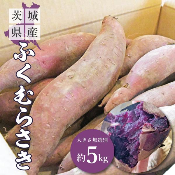 茨城県のさつまいも「ふくむらさき」5kg。形が不揃い、サイズ混合無選別（L〜S）です。【名称】 さつまいも ふくむらさき【内容量】 約5kg　※内容量は若干前後する場合がございます。サイズは選べません。大きさは　L〜Sが入ってます。収穫時に...