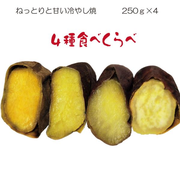 メディアで沢山取り上げられた、冷やし焼き芋「ひえひえ君」は全国に先駆け当店が開発した人気商品なっています。ねっとりと甘みの強い「紅はるか」と「シルクスイート」と焼き芋ブームの火付け役「種子島産安納芋」ホクホクお芋の千葉県ブランド芋「大栄愛娘...