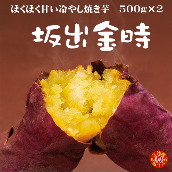 香川県産 高級ランド芋「坂出金時」この時期でも早堀りのため熟成がしっかりかかっておりホクホク系でありながら冷やし焼きいもでも対応できるレベルです。ほくほく系代表品種高系14号からの改良品種。熟成新芋 内容量計1kg（約500g×2袋）全体で...