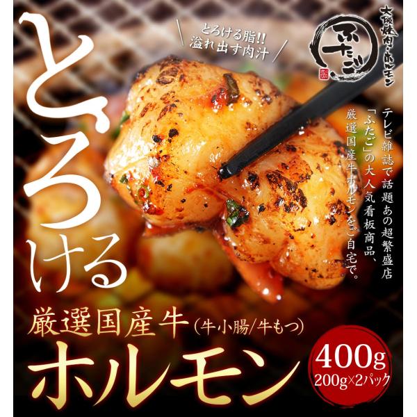 厳選牛とろける「ホルモン」400g