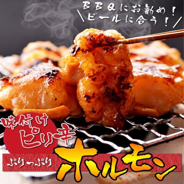 味付けピリ辛ホルモン中村屋