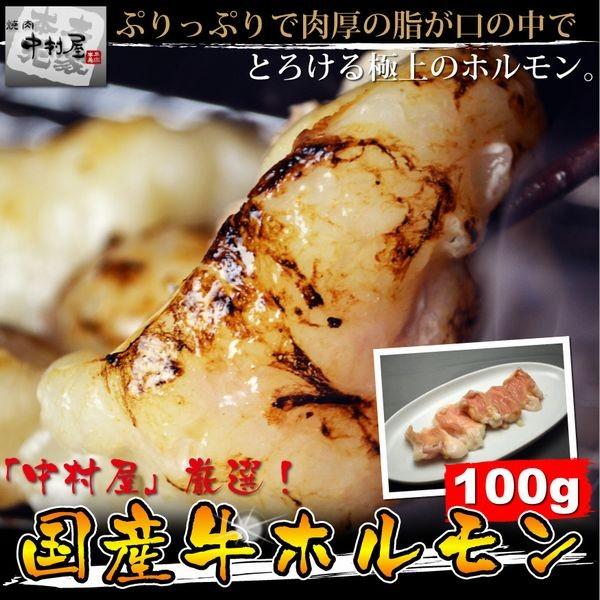 岡山　中村屋　国産牛ホルモン　送料無料