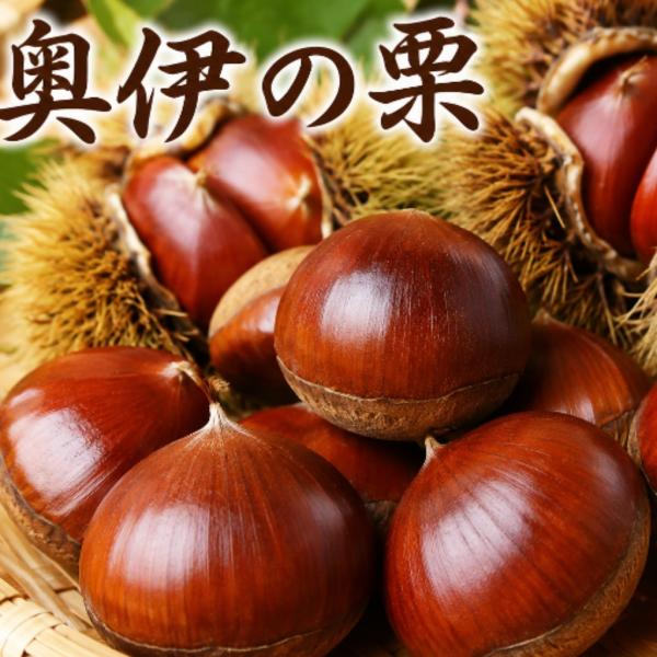 愛媛県西予市　城川町の奥伊予の生栗　秀品　３L以上　３Kg　　渋皮煮.栗ご飯.甘露煮.モンブラン.ペースト送料無料