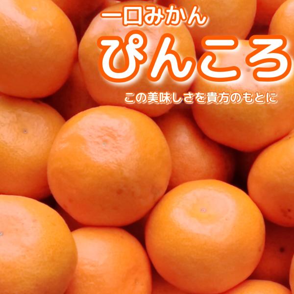 いちご＆みかん ウチカフェ 日本のフルーツ 愛媛県産清見＆みかんかき氷 | アイスマン