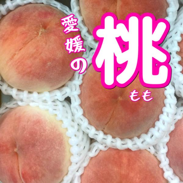 安心安全のクール便発送！！あかつき桃　１４玉〜1８玉入　約2.7〜2.8キロ　秀品＋家庭用　ももくだももフルーツ　一部地域別途送料
