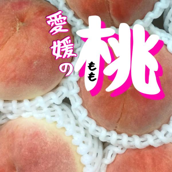 [Release date: July 14, 2024]日本の桃の元祖は岡山県の白桃です、この白桃を改良して白鳳や浅間白桃、あかつきなどの多彩な品種が誕生しました。ジューシーでなめらかな食感の日本の桃は、世界でも評価されるほどの逸品！！当...