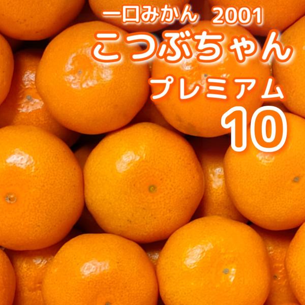 愛媛西宇和　　こつぶちゃんプレミアム　10キロ　秀品＋訳あり家庭用温州宮川みかんミカン日の丸真穴川上　北海道沖縄のお客様別途送料