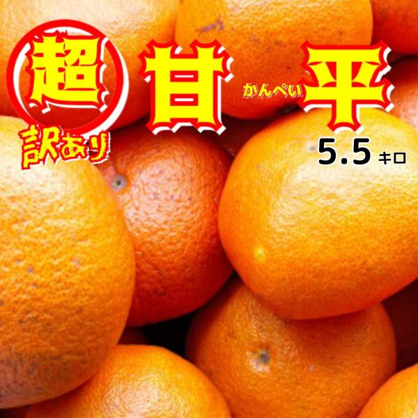 かんぺい 超訳あり かんぺい（甘平）5．5キロ 不揃い 愛媛八幡浜 一部地域別途