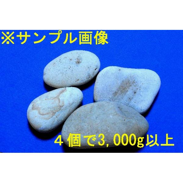 [Release date: June 26, 2025]４個で総重量3,000ｇ強のお徳用セットです 。 1個５００g〜７００g前後になりますが在庫状況により変わる場合もあります。画像はサンプル画像ですが、実際にお届けする商品は画像と同格...