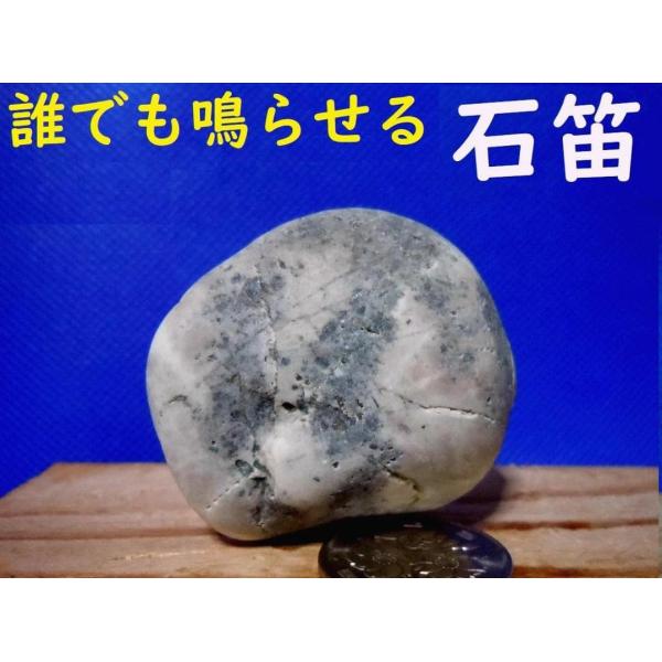 yakusekien_hisuiisi61dd_2_d_20251125093132