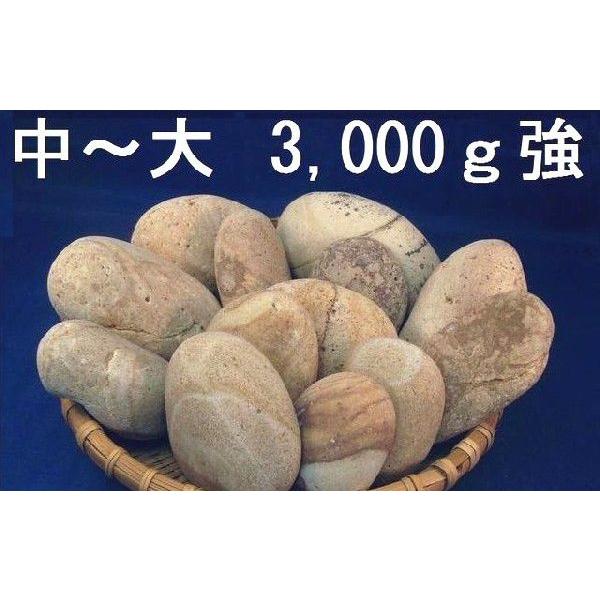 薬石苑】姫川薬石 中〜大【3,000g】セット :hyml3:糸魚川翡翠姫川薬石専門店 薬石苑 - 通販 - Yahoo!ショッピング 薬石苑】姫川薬石 中〜大【3,000g】セット :hyml3:糸魚川翡翠姫川薬石専門店 薬石苑 - 通販 - Yahoo!ショッピング
