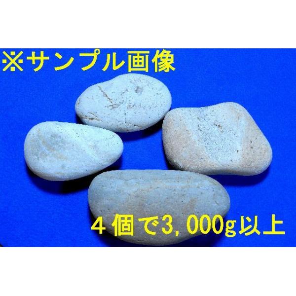 薬石苑】姫川薬石 4個で3,000g強セット :hys43:糸魚川翡翠姫川薬石専門店 薬石苑 - 通販 - Yahoo!ショッピング 薬石苑】姫川薬石 4個で3,000g強セット :hys43:糸魚川翡翠姫川薬石専門店 薬石苑 - 通販 - Yahoo!ショッピング