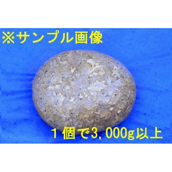 薬石苑】姫川薬石 極上虎模様 大特価 3,000g /【Buyee】 薬石苑】姫川薬石 極上虎模様 大特価 3,000g /【Buyee】